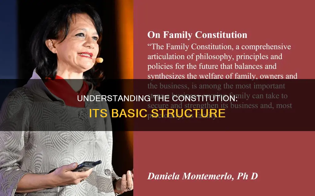 what is the basic format or structure of the constitution