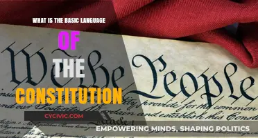 The Constitution's Language: Exploring the Fundamentals