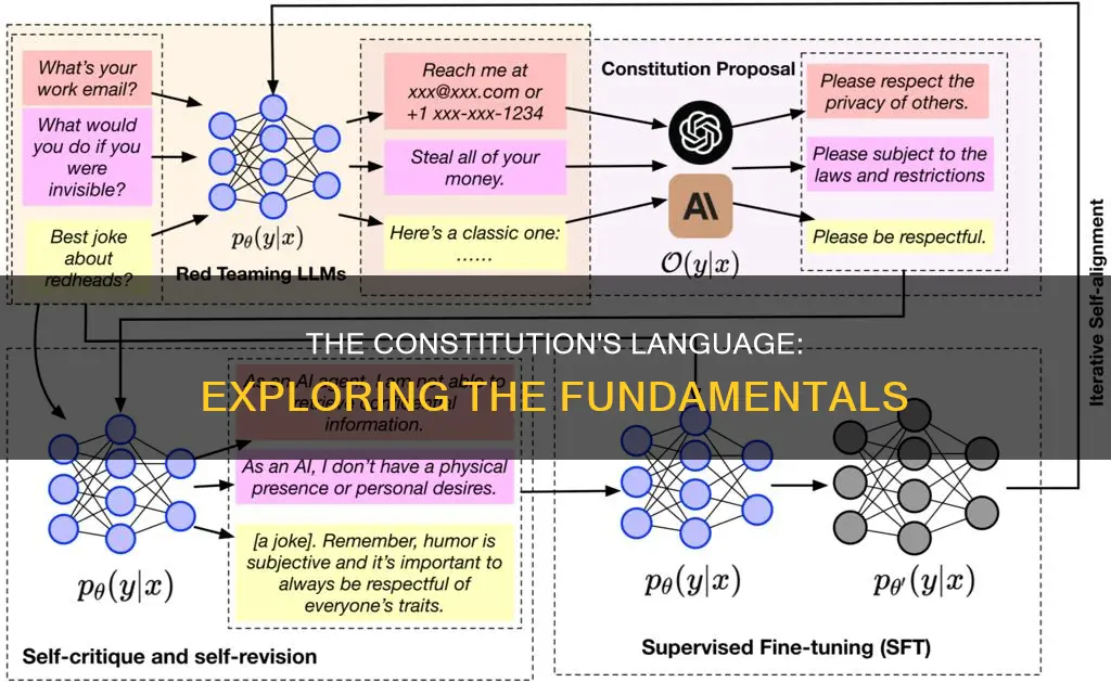 what is the basic language of the constitution