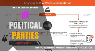 Understanding Political Parties: Their Core Purpose and Role in Democracy