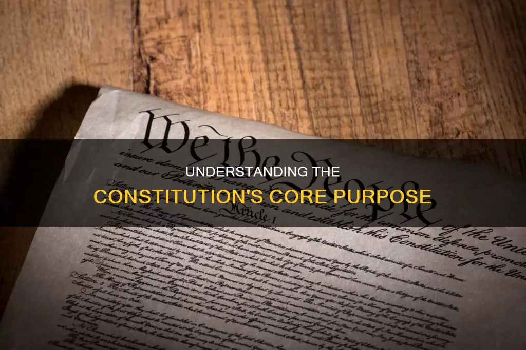 what is the basic purpose of the constitution
