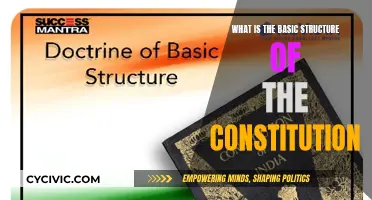 The Constitution's Basic Framework Explained