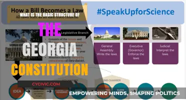 Exploring Georgia's Constitution: Basic Structure