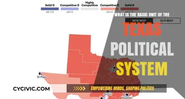 Understanding Texas Politics: The Fundamental Unit Explained