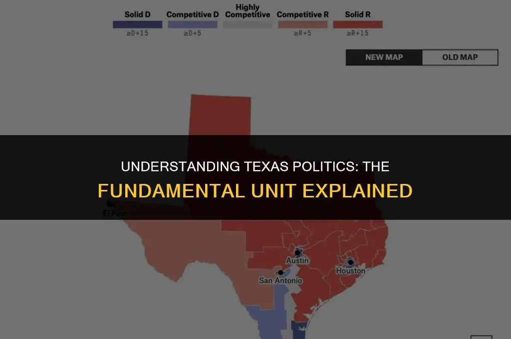 what is the basic unit of the texas political system