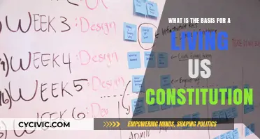 Living Constitution: Dynamic Basis for US Law