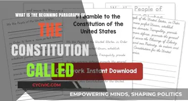 The Constitution's Intriguing Opening Paragraph