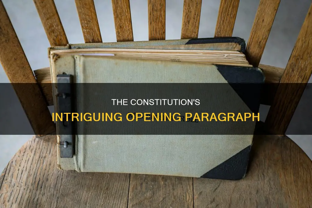 what is the beginning paragraph of the constitution called