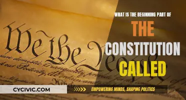 The Constitution's Opening: What's in a Name?
