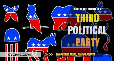 Breaking the Duopoly: How a Third Party Benefits American Politics