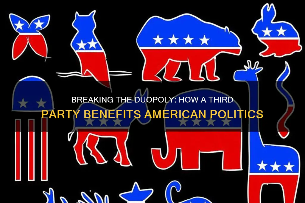 what is the benefit of a third political party