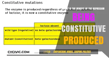 Repressor Production Benefits: Self-Regulation and Gene Expression