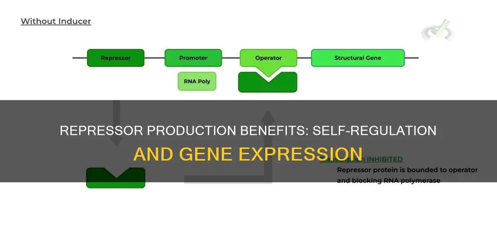 what is the benefit of the repressor being constitutively produced