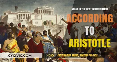 Aristotle's Vision: The Ideal Constitution