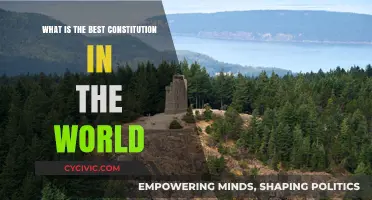 The Finest Constitutions: A Global Perspective