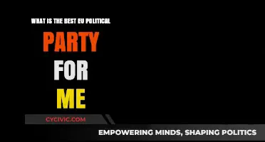 Finding Your EU Political Match: Which Party Fits You Best?