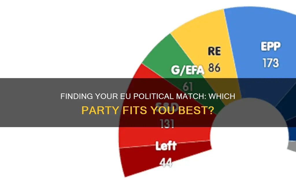 what is the best eu political party for me