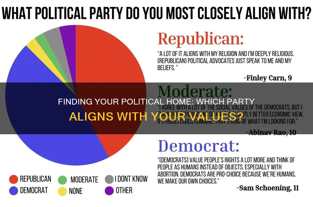what is the best political party for me
