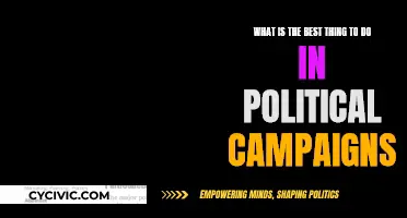 Effective Political Campaigning: Strategies for Success