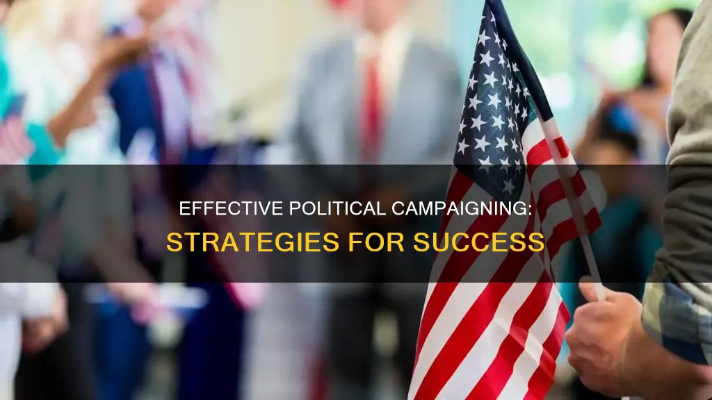 what is the best thing to do in political campaigns