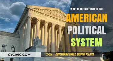 Exploring the Core: What Makes the American Political System's Unit Structure Effective?
