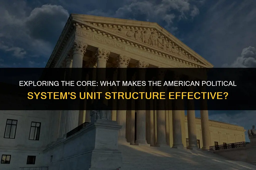 what is the best unit of the american political system