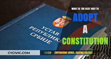 Crafting a Constitution: A Guide to Adoption