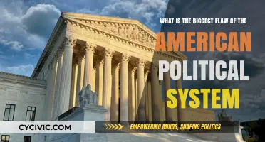 The Critical Flaw Undermining American Democracy: A Deep Dive