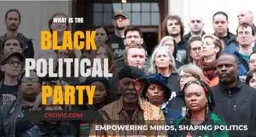 Understanding the Black Political Party: History, Goals, and Impact