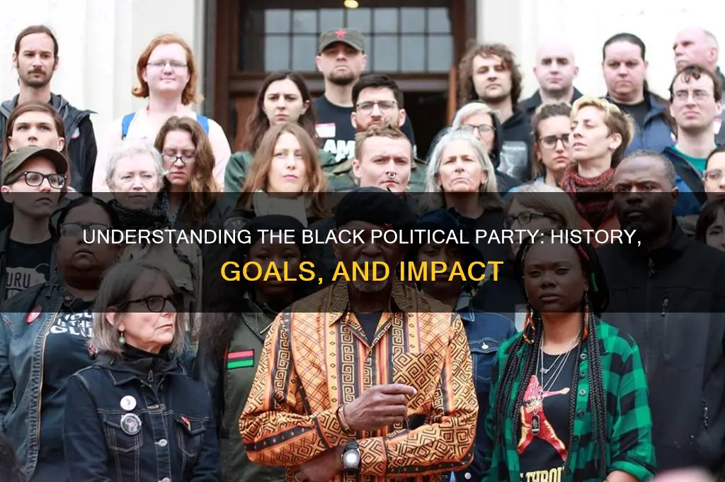 what is the black political party