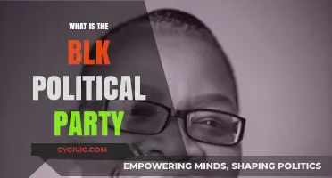 Understanding the BLK Political Party: History, Goals, and Impact