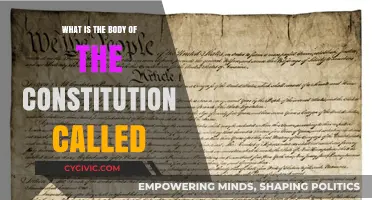 The Body of Constitution: Exploring the Fundamentals