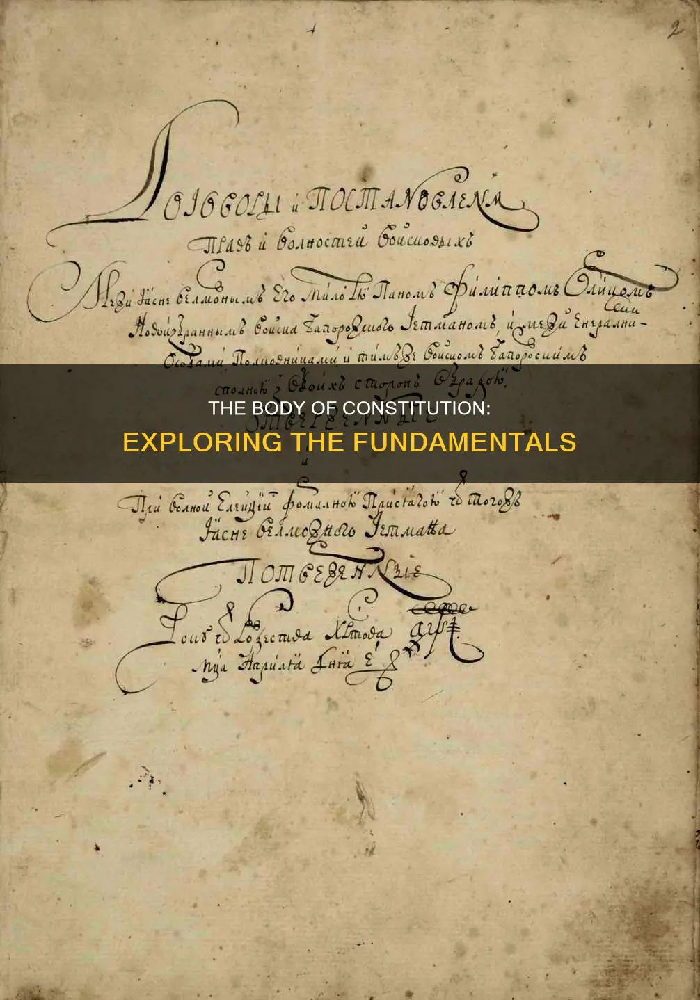 what is the body of the constitution called