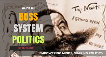 Decoding the Boss System: Politics in the Workplace Unveiled