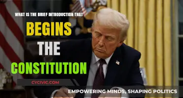 The Constitution's Introduction: A Founding Fathers' Vision