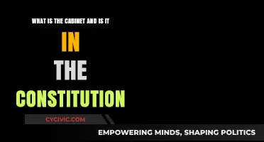 The Cabinet: Constitutional or Not?