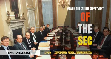 The SEC's Cabinet Department: Structure and Functionality