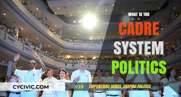 Understanding the Cadre System: A Deep Dive into Political Dynamics