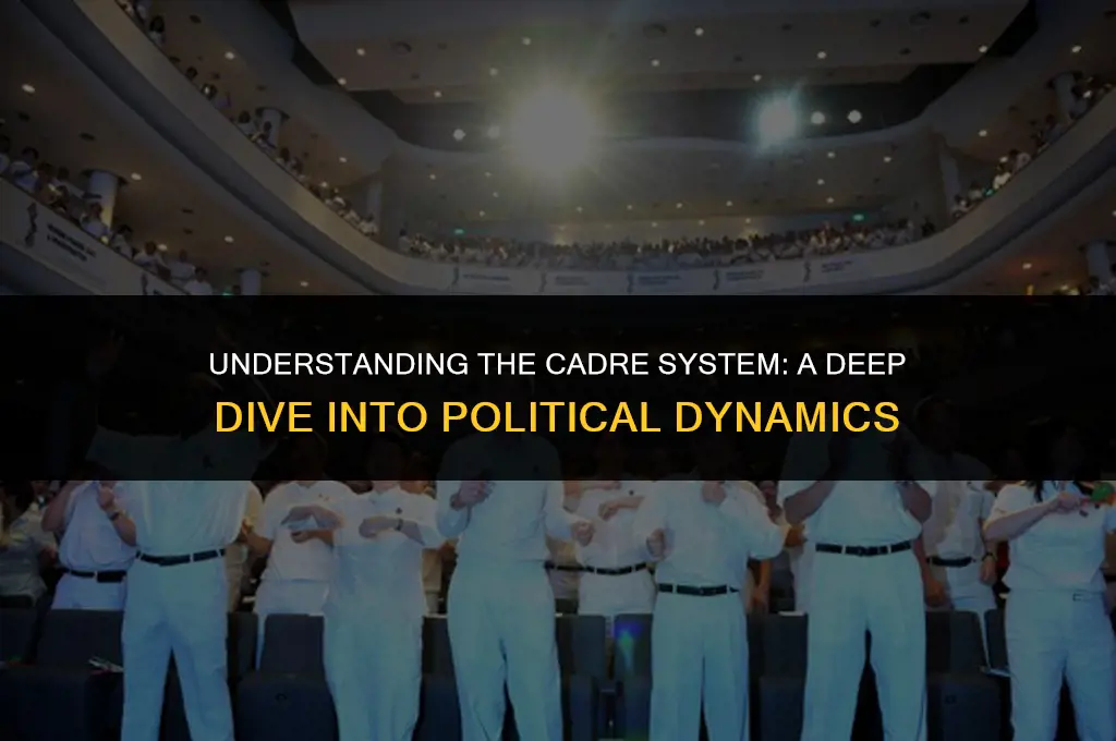 what is the cadre system politics