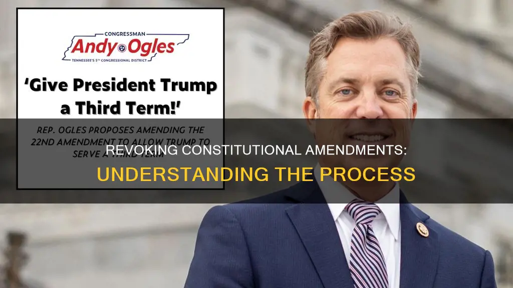 what is the cancellation of a constitutional amendment