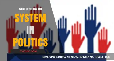 Exploring the Caucus System: A Deep Dive into Political Traditions