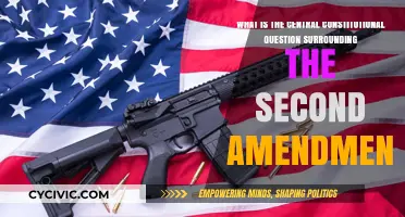 The Second Amendment: What's the Core Question?