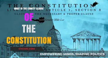 Comity Clause: Understanding the Constitution's Power Balance
