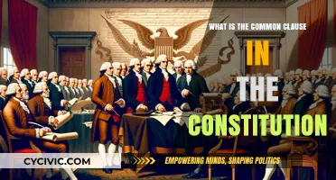 The Constitution's Common Clause: Understanding the Basics
