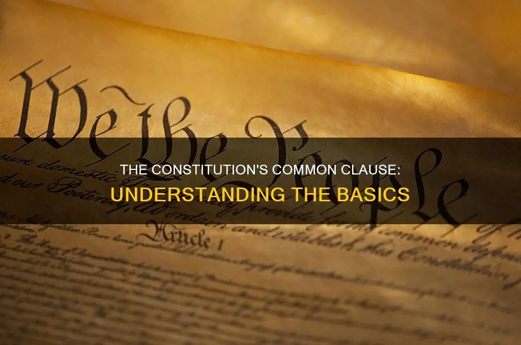 what is the common clause in the constitution
