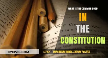 The Constitution's Common Good: A Balancing Act