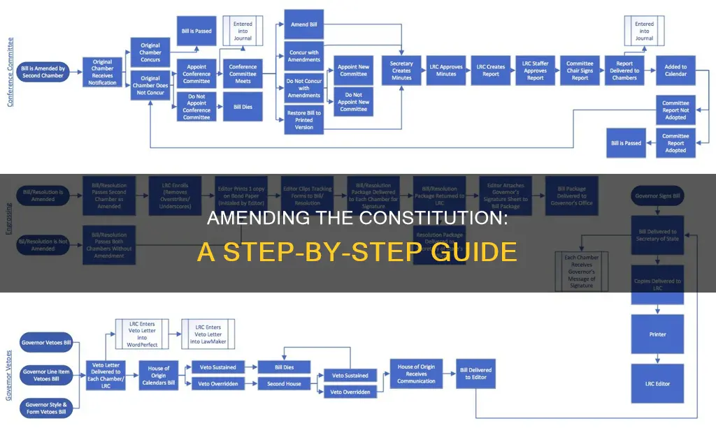 what is the common process for amending the constitution flowcart