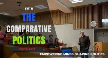 Understanding Comparative Politics: Analyzing Global Political Systems and Structures