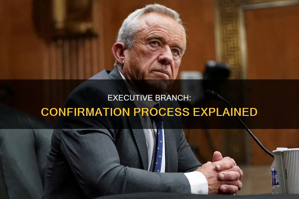 what is the confirmation process in the executive branch
