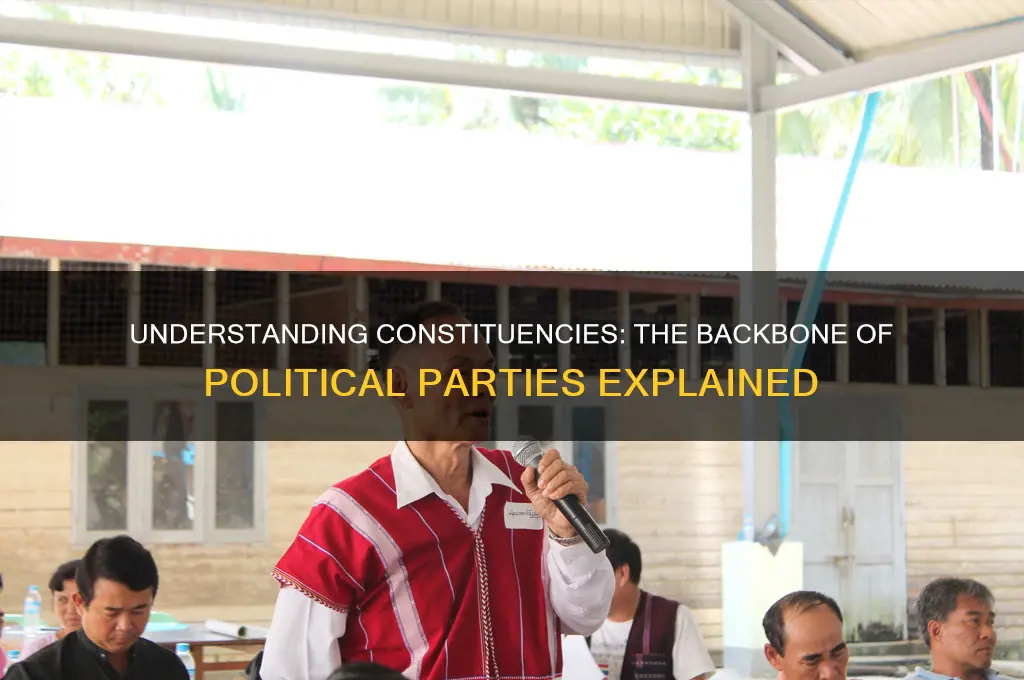 what is the constituencies in political parties